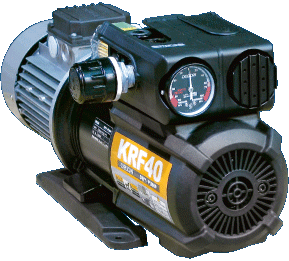 dry-rotary-vane-pumps